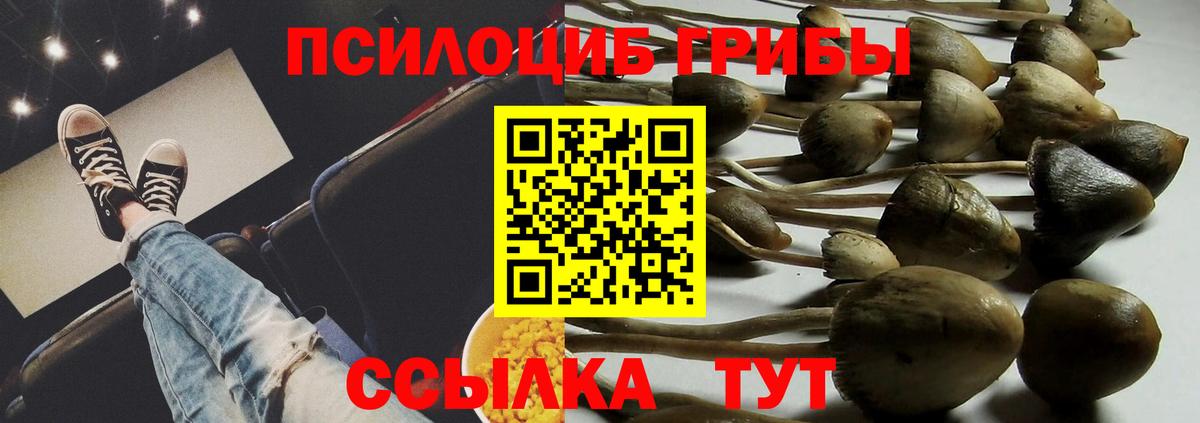 Псилоцибиновые грибы ЛСД  Вход с VPN  Киреевск  Псилоцибиновые грибы Psilocybine cubensis 